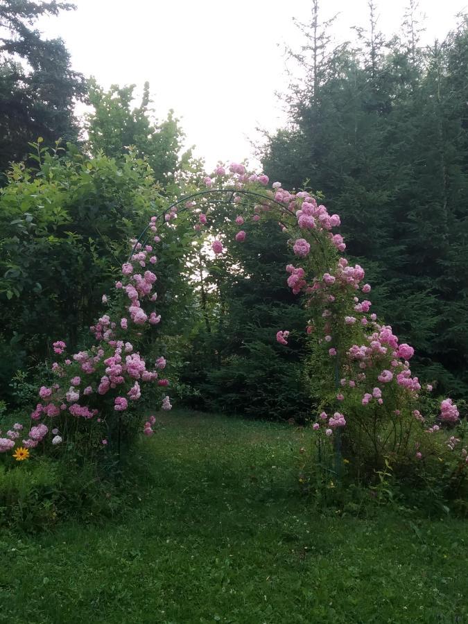 Apartmani Eho Zlatibor Luaran gambar