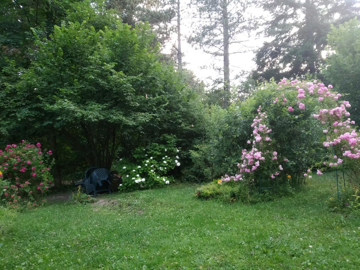 Apartmani Eho Zlatibor Luaran gambar